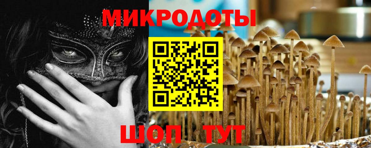 Псилоцибиновые грибы GOLDEN TEACHER  Псилоцибиновые грибы Psilocybine cubensis  Чебоксары  Вход с VPN 